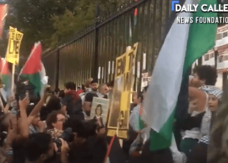 pro-Palenstine protesters